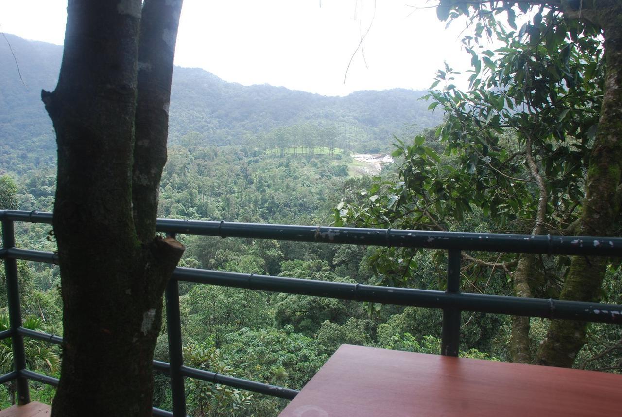 Wild Elephant Eco Friendly Resort Munnar Bagian luar foto