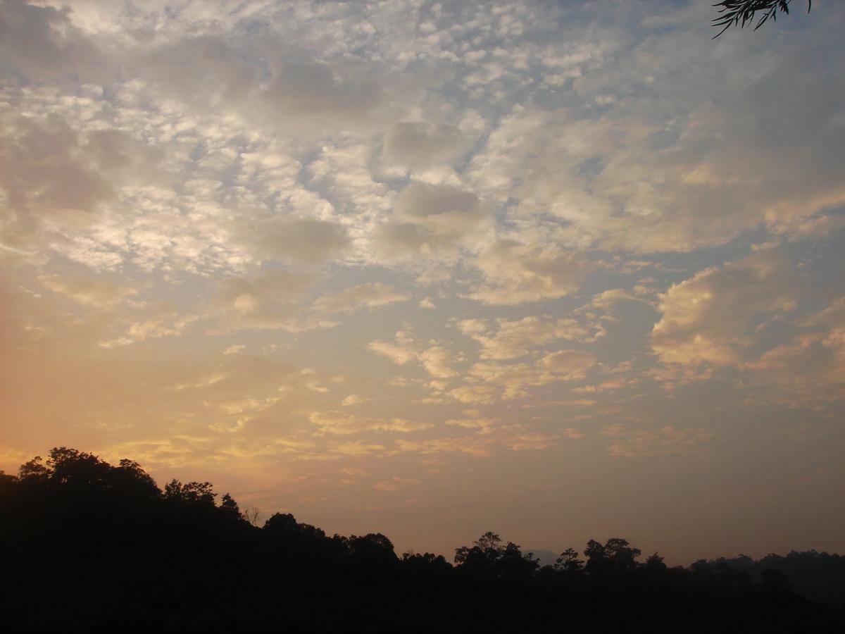 Wild Elephant Eco Friendly Resort Munnar Bagian luar foto