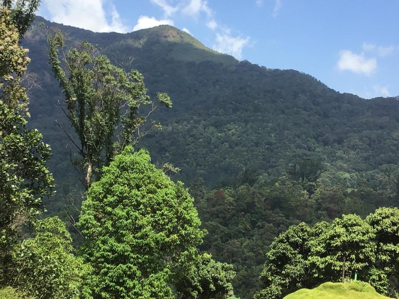 Wild Elephant Eco Friendly Resort Munnar Bagian luar foto