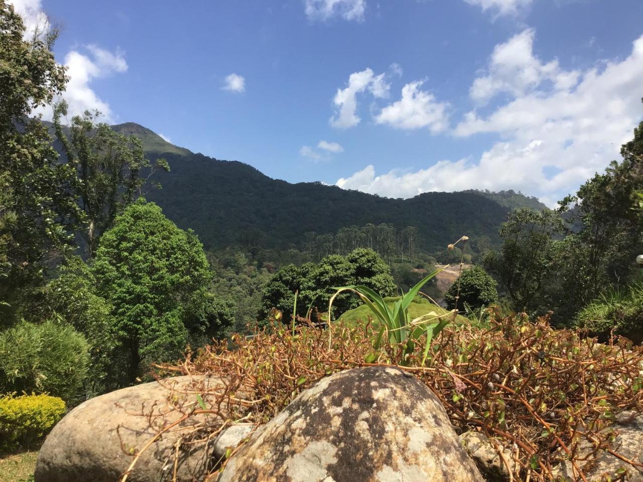 Wild Elephant Eco Friendly Resort Munnar Bagian luar foto