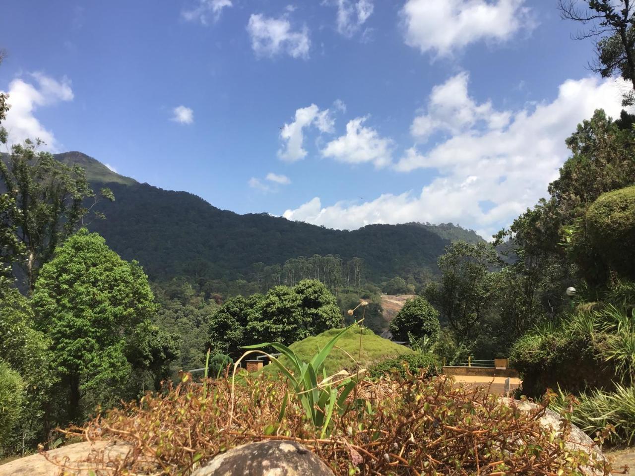 Wild Elephant Eco Friendly Resort Munnar Bagian luar foto