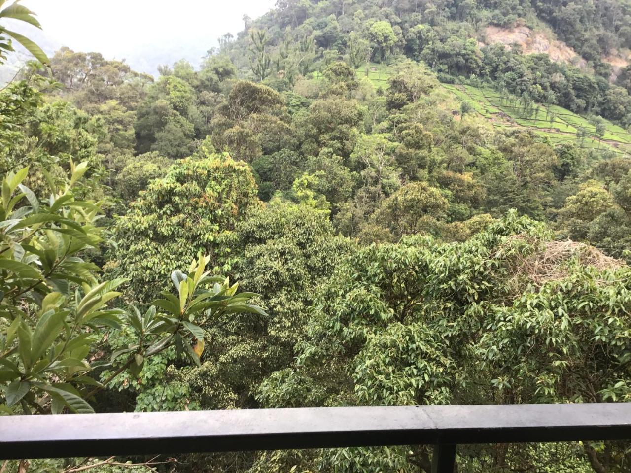 Wild Elephant Eco Friendly Resort Munnar Bagian luar foto