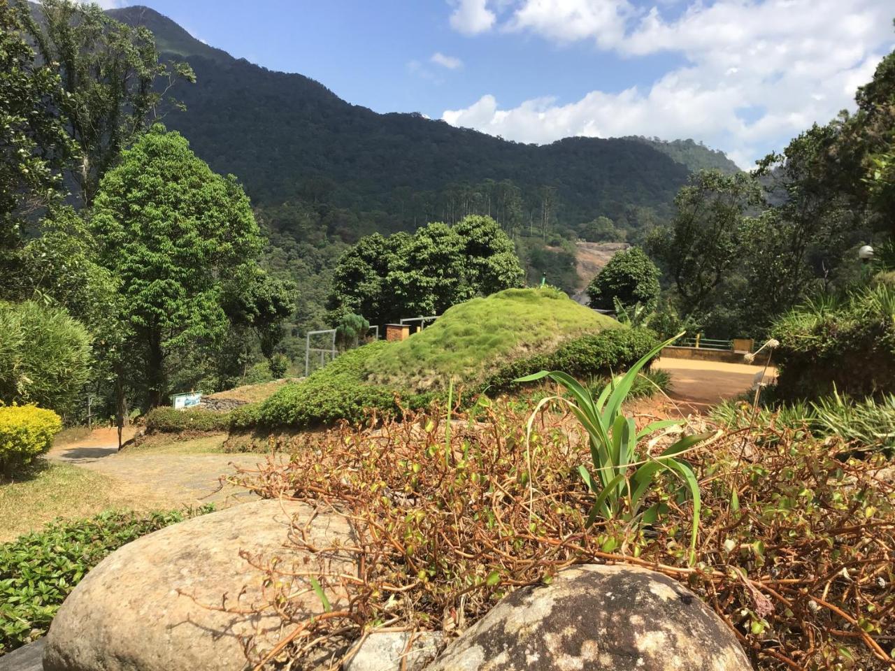Wild Elephant Eco Friendly Resort Munnar Bagian luar foto